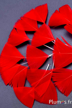 Pétales en plumes - 6-8 x 3-4 cm - rouge